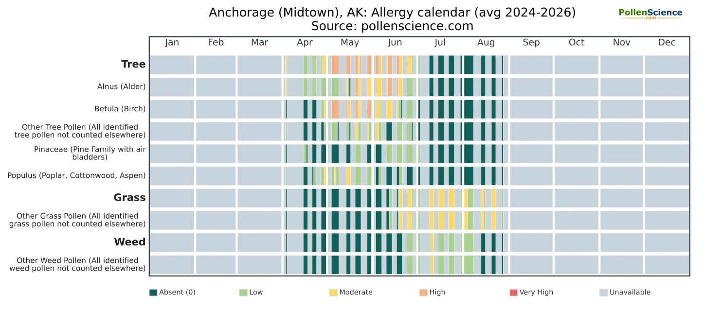 Annual allergy calendar for Anchorage (Midtown), AK.