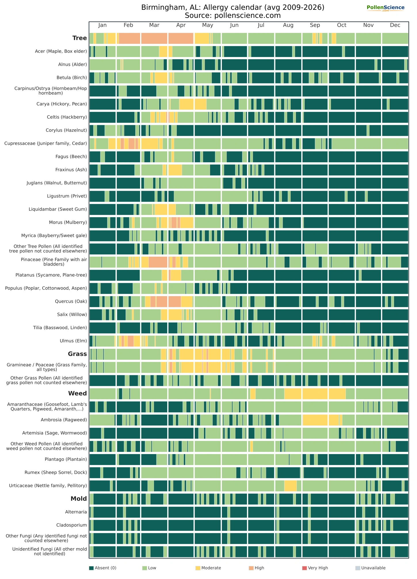 Annual allergy calendar for Birmingham, AL.