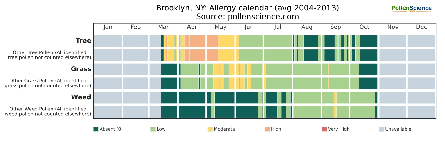 Annual allergy calendar for Brooklyn, NY.