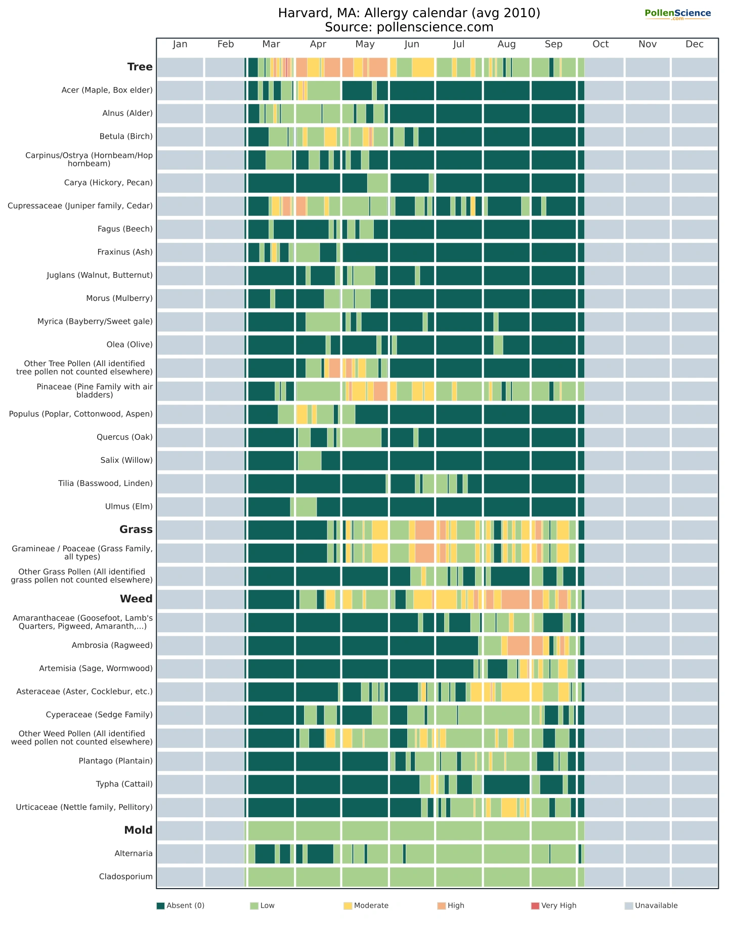 Annual allergy calendar for Harvard, MA.