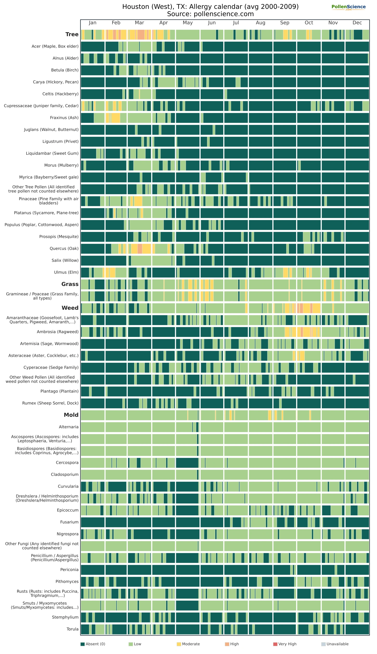 Annual allergy calendar for Houston (West), TX.