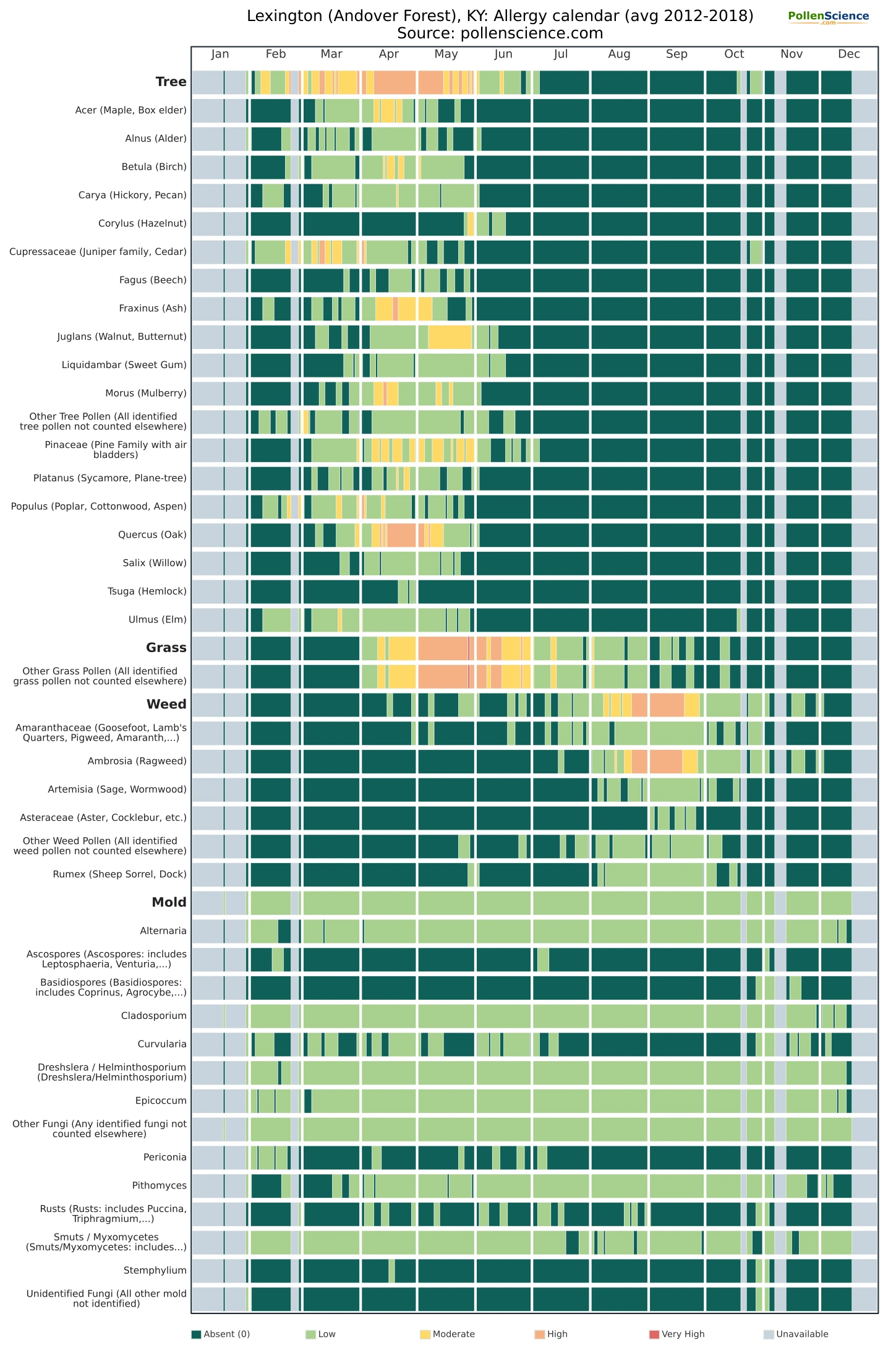Annual allergy calendar for Lexington (Andover Forest), KY.