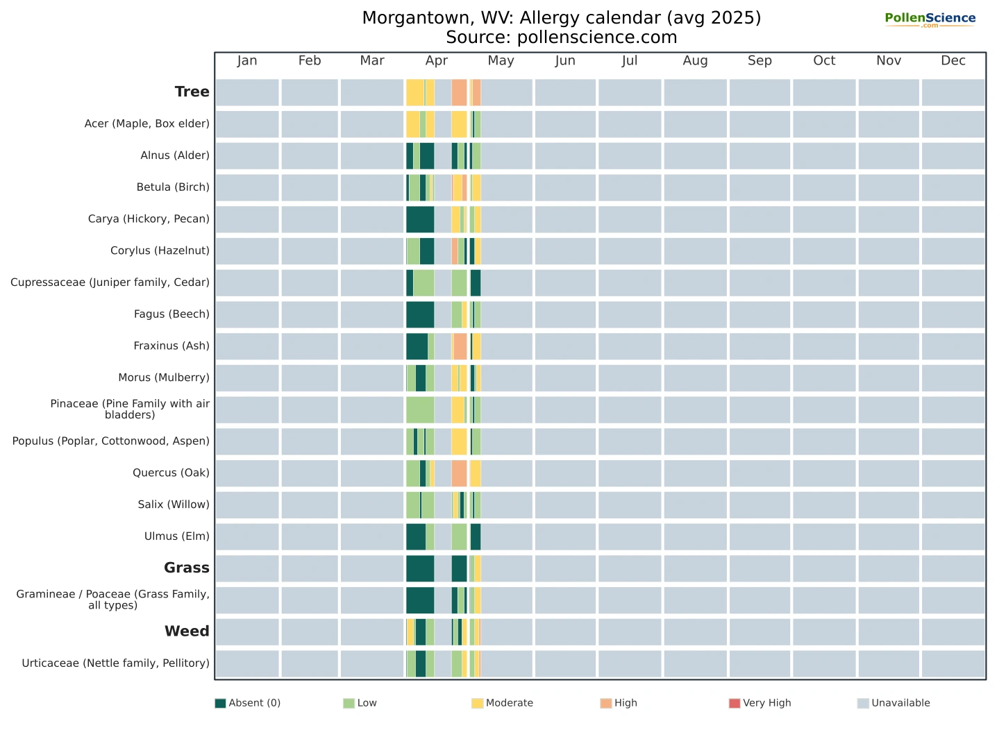 Annual allergy calendar for Morgantown, WV.