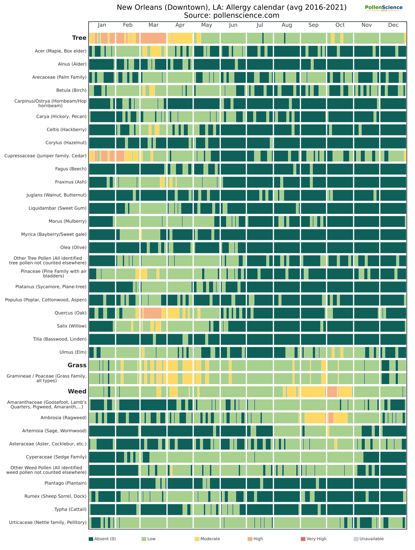 Annual allergy calendar for New Orleans (Downtown), LA.
