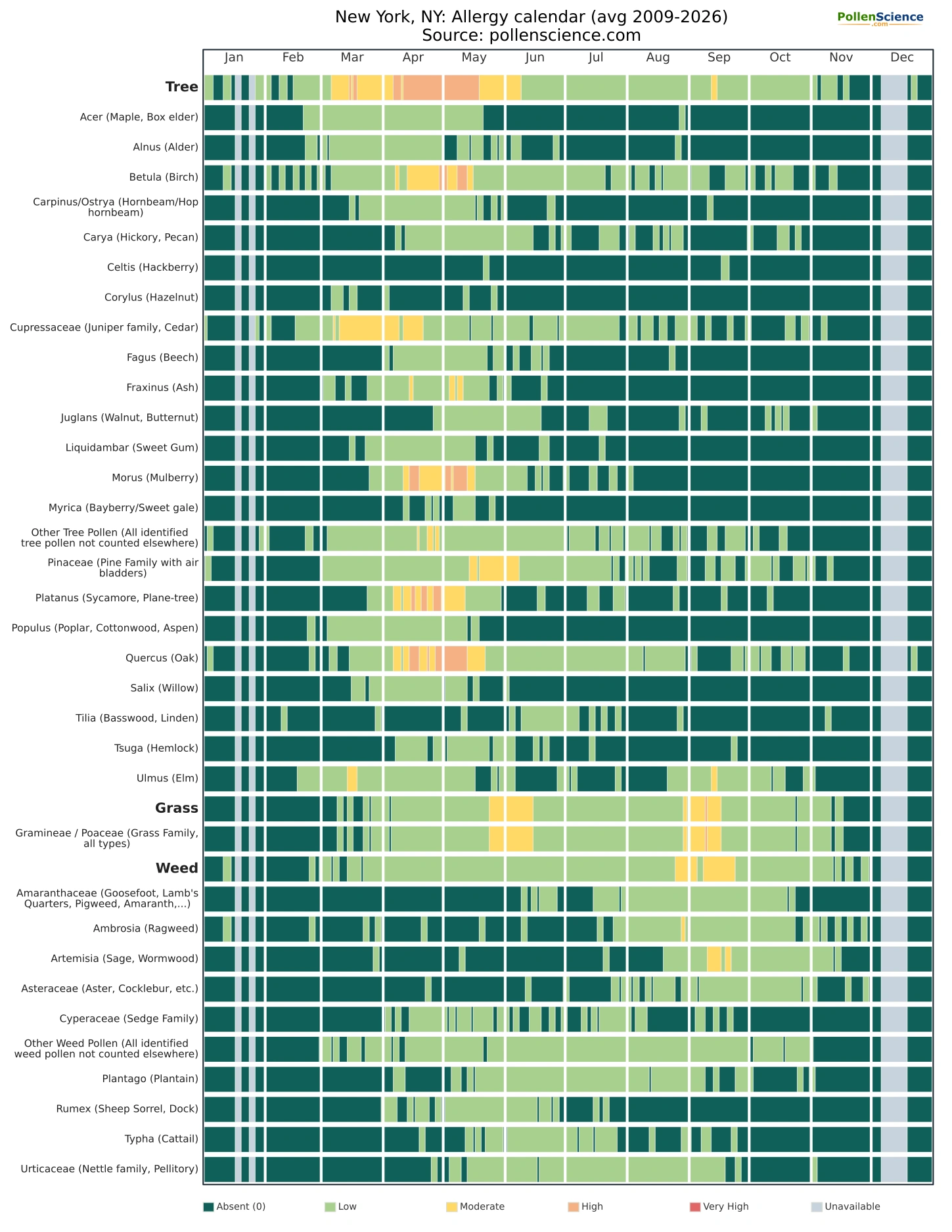 Annual allergy calendar for New York, NY.