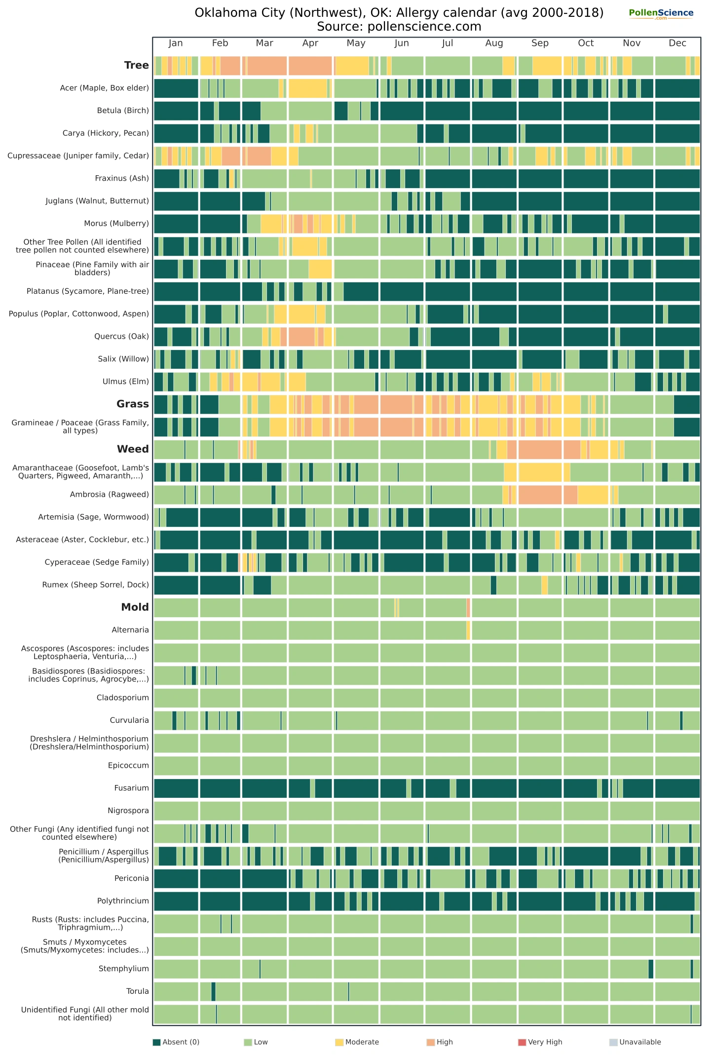 Annual allergy calendar for Oklahoma City (Northwest), OK.