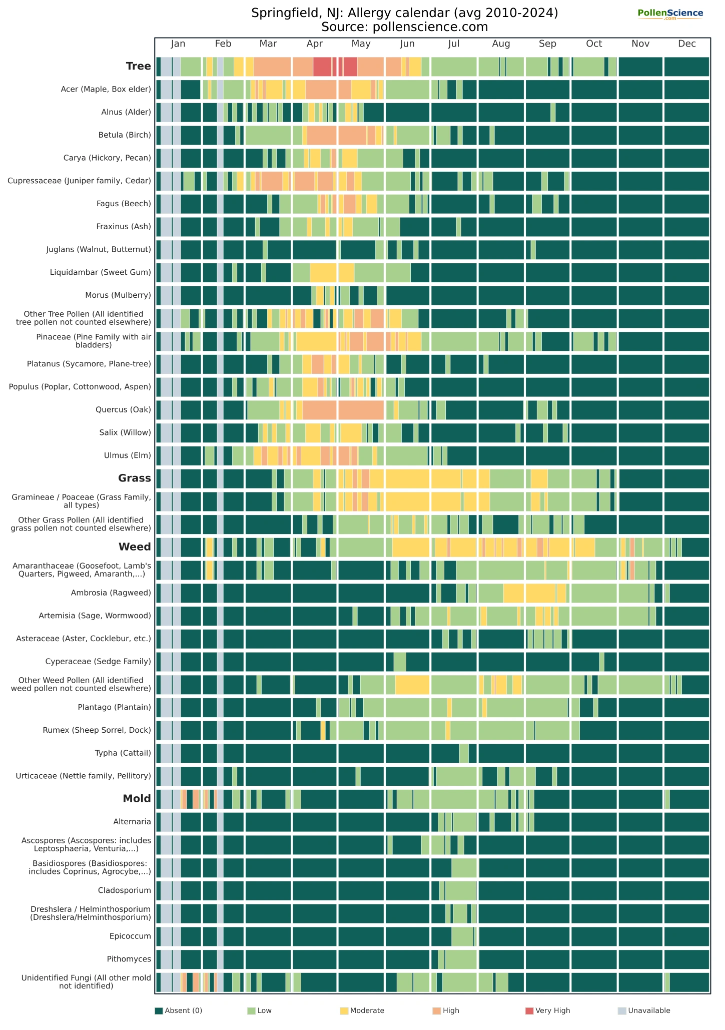 Annual allergy calendar for Springfield, NJ.